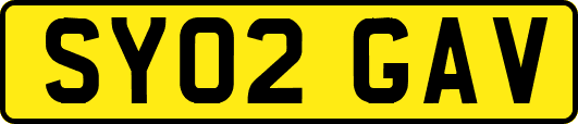 SY02GAV