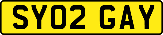 SY02GAY