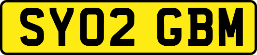 SY02GBM
