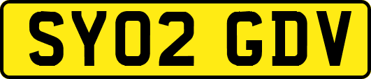 SY02GDV