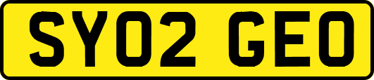 SY02GEO