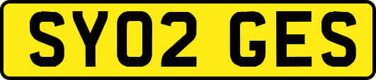 SY02GES