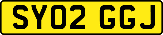 SY02GGJ