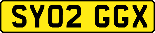 SY02GGX