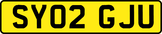 SY02GJU