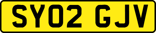 SY02GJV