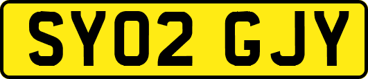 SY02GJY