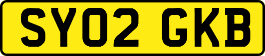 SY02GKB