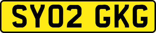 SY02GKG