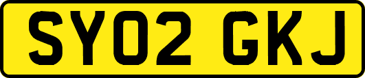 SY02GKJ