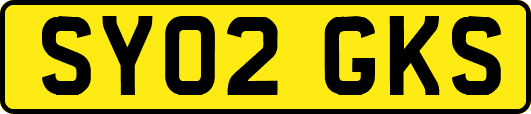 SY02GKS