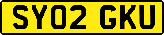 SY02GKU