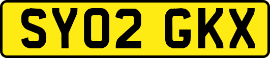 SY02GKX
