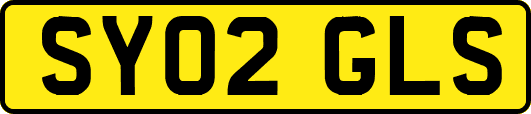 SY02GLS