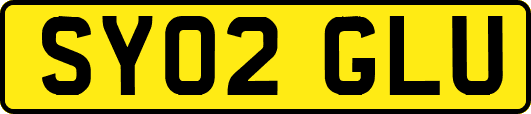SY02GLU