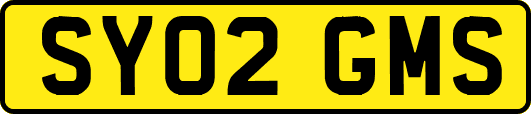 SY02GMS
