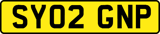 SY02GNP