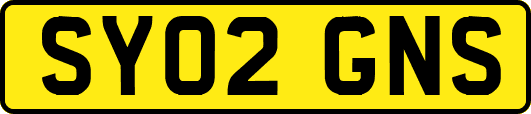 SY02GNS