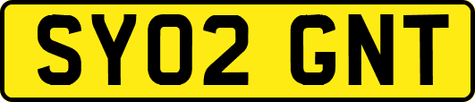 SY02GNT