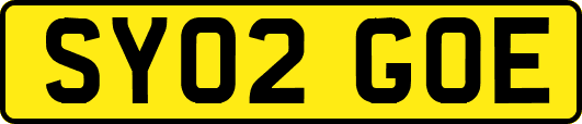 SY02GOE