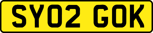 SY02GOK