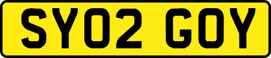 SY02GOY