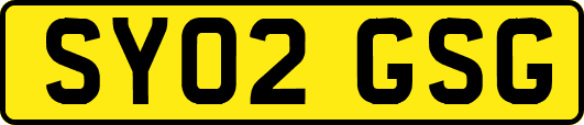 SY02GSG