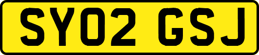 SY02GSJ