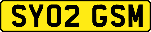 SY02GSM