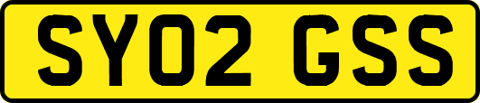 SY02GSS