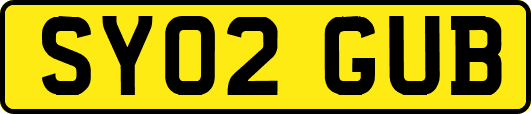 SY02GUB