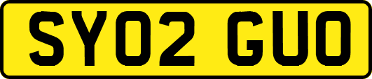 SY02GUO