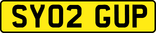 SY02GUP