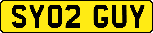 SY02GUY