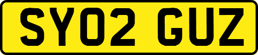 SY02GUZ
