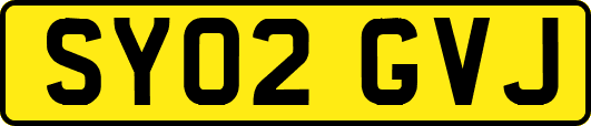 SY02GVJ