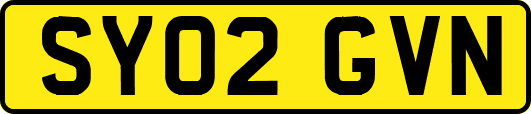 SY02GVN