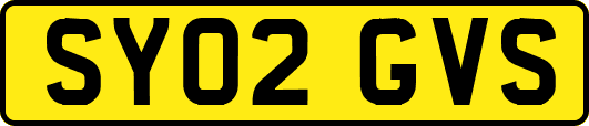 SY02GVS