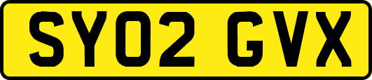 SY02GVX