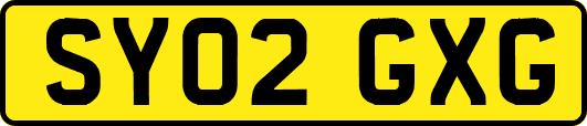 SY02GXG