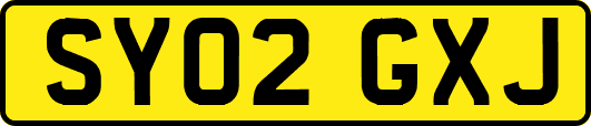 SY02GXJ