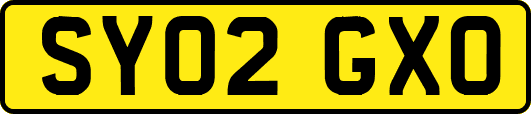 SY02GXO