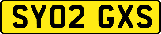 SY02GXS