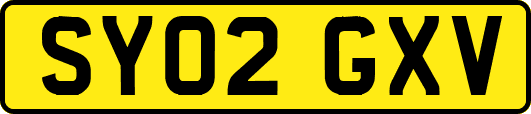 SY02GXV