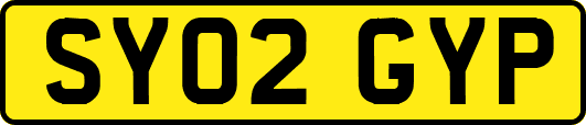 SY02GYP