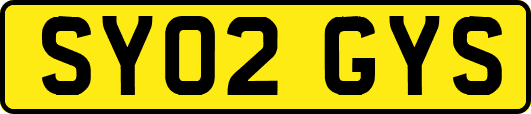SY02GYS
