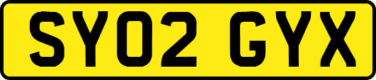 SY02GYX