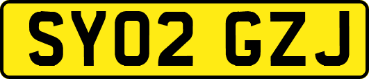 SY02GZJ