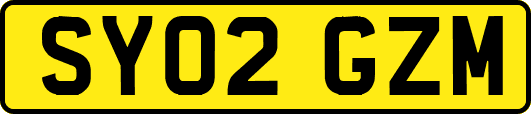 SY02GZM