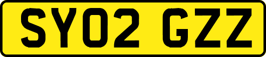 SY02GZZ